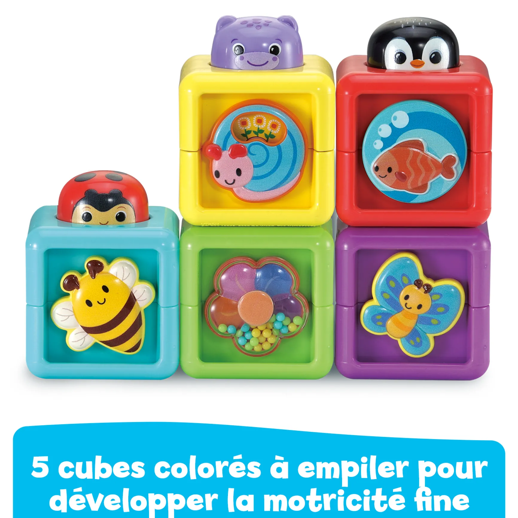 Cubes animaux surprises