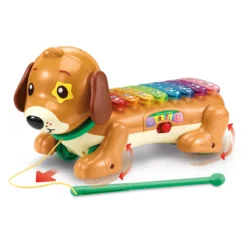 Elton, mon rouli xylophone
