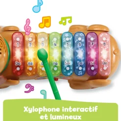 Elton, mon rouli xylophone