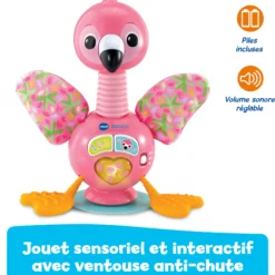 Flamingo rigolo