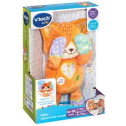 Fripon, cache-cache chaton