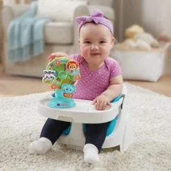 La grande roue des Baby loulous