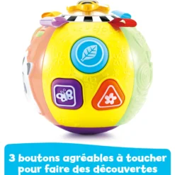 Lumi Balle des animaux