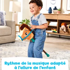 Mistral cheval bâton musical