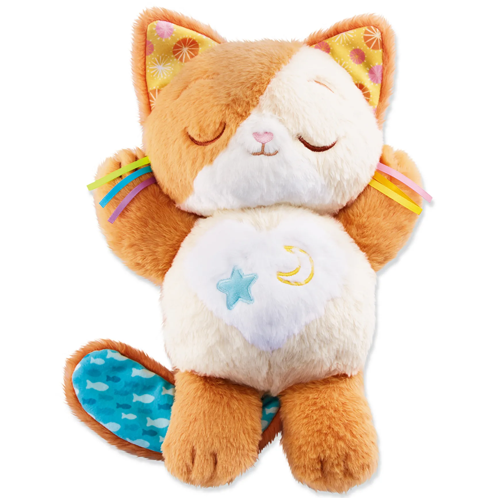 Mon chaton douce nuit