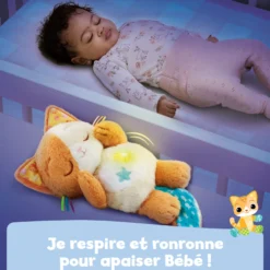 Mon chaton douce nuit