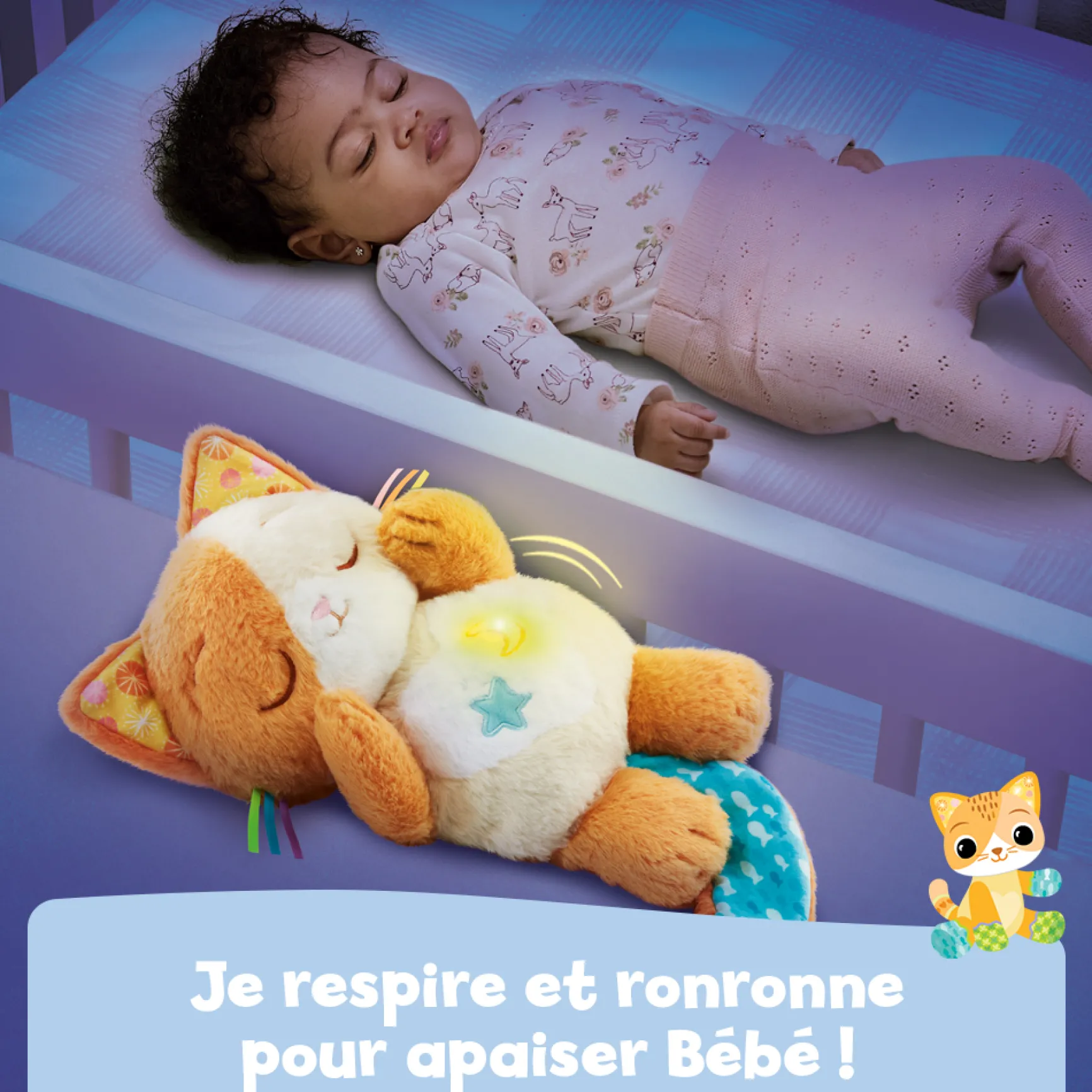 Mon chaton douce nuit