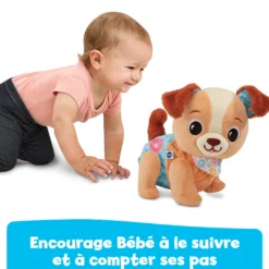 Toutou 1,2,3 suis-moi